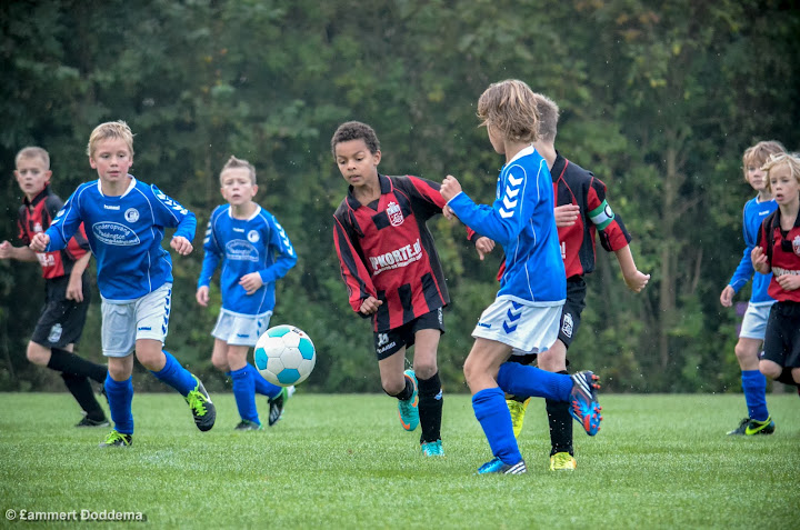 2013101005 - BEDUM E2 - WVV E2 - 002.jpg