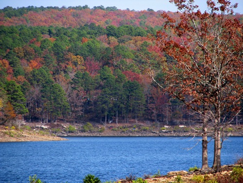 greersferrylake