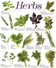Herbs Herbs