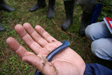 DSC08137.JPG