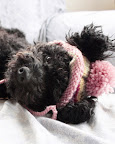 and warm woolen...
(Bobby- Halifax, Fl.)