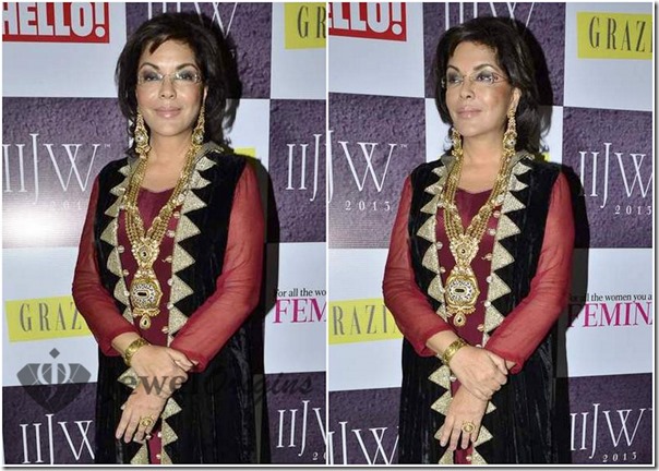 IIJW_2013 (2)