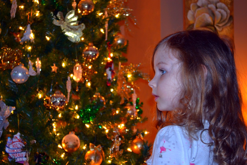 [DSC_0121.jpg]