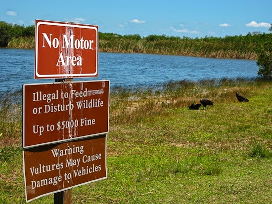 Everglades National Park by Bicycle Ride Nine Mile Pond