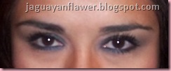 Smokey Navy Smokey Navy