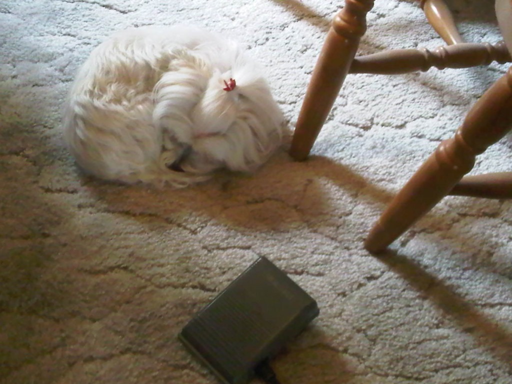 [nappingnsewing12%255B2%255D.jpg]