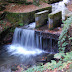 DSC_2591.JPG