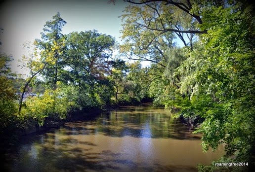 Red Cedar River