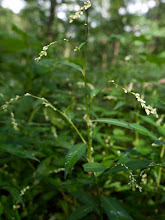 P7156627