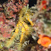 P6173956