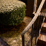 OMG it's snowing!
