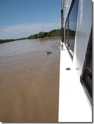 PA291814 PA291814