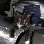 DSCN7903.jpg DSCN7903.jpg
