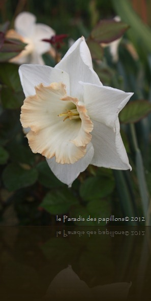 IMG_0793 IMG_0793