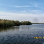 IMG_7988.JPG