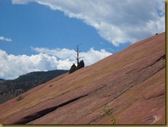 IMG_0072 IMG_0072
