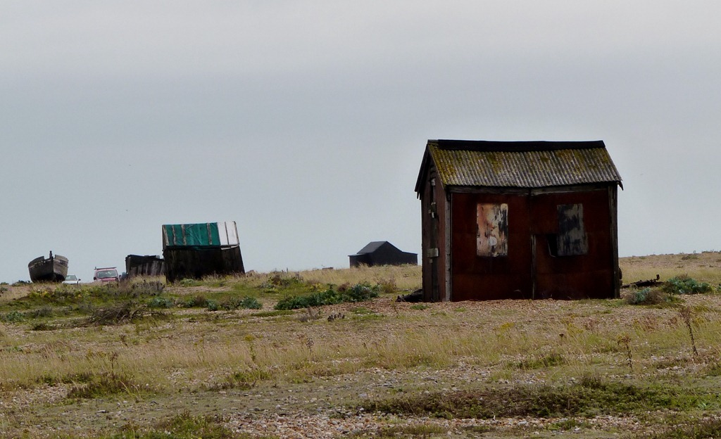 [dungeness%2520sept%25202011%2520032%255B4%255D.jpg]