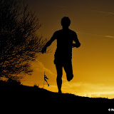 Bunny Run 3 2013