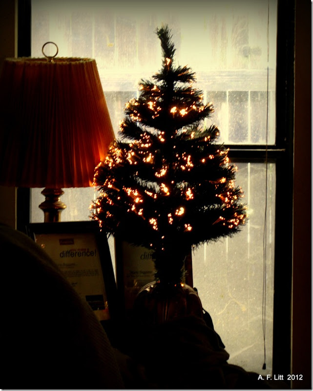 Christmas Tree.  Fair Oaks, California.  December 24, 2012.