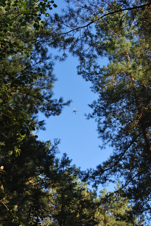 [Tur%2520i%2520skogen%2520sept%252011%2520074%255B6%255D.jpg]
