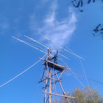 IMAG0483.jpg