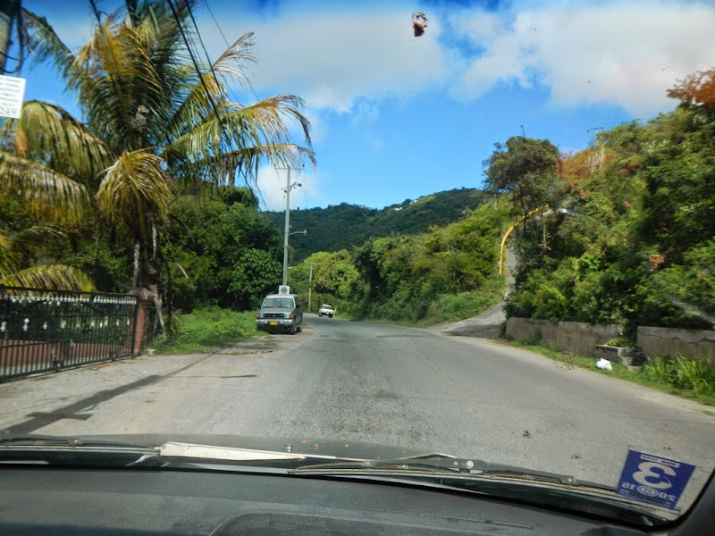 DSCN2775 DSCN2775