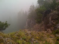 IMG_1146.jpg