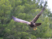 DSC_0255.jpg