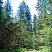 Forêt bavaroise - Bodenmais - Riesloch