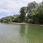 IMG_5526.JPG