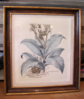 TRW Botanical Print $890.00