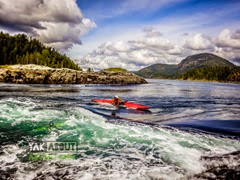 (c)Worldwildadventures-1741