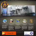 JANISERVINC.com