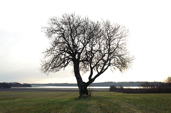 [DSC_7148%255B2%255D.jpg]