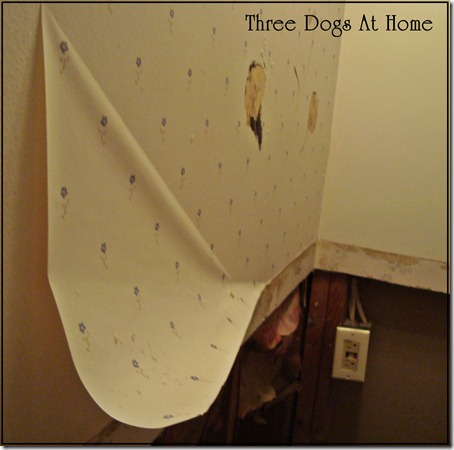 house pics 055