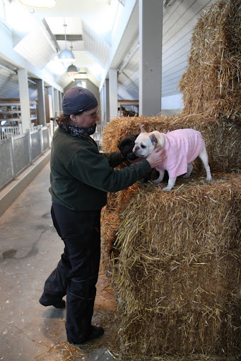 Thanks, Betsy, for being such an excellent stable manager.  You care for our friends, the barn animals so well and we really appreciate that!15