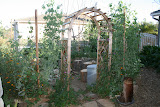 Our Front Yard firepit garden. Have a garden like this installed in your home: http://gardens.thegrowinghome.net