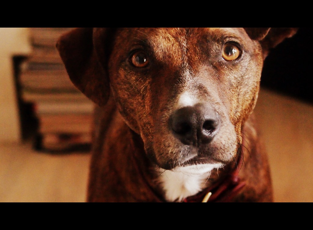 [15%2520June%252011%252009-06-2013%252010-27-45%255B3%255D.jpg]