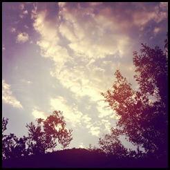 IMG_20120418_215503