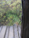 IMG_1346.jpg
