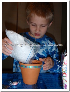 Grow a Candy Cane Christmas Activity Grow a Candy Cane Christmas Activity