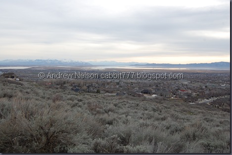 DSC_0056 DSC_0056