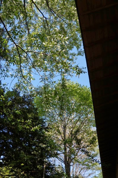 DSC04562
