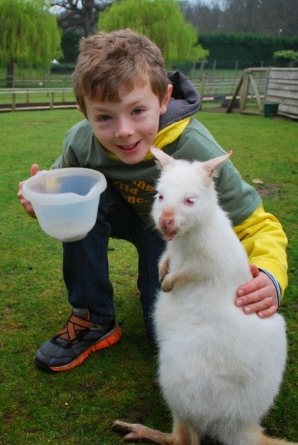 [DSC_0410-002%255B9%255D.jpg]