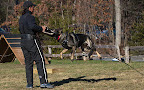 Quen Protection Training