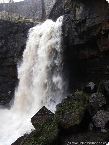 ash gill force ash gill force