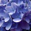 DSC04712.JPG