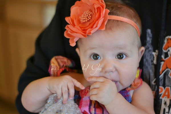 DSC_4182blog.jpg DSC 4182blog