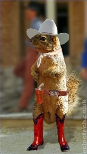 [squirrell%2520in%2520boots%255B4%255D.jpg]