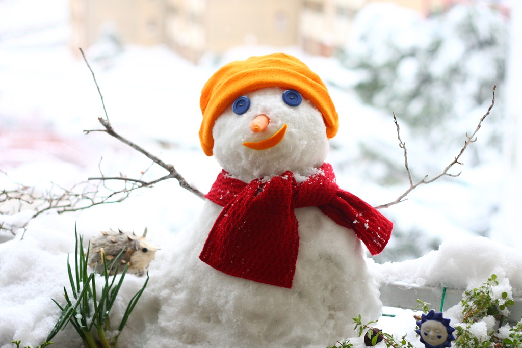 [IMG_6154%255B4%255D.jpg]